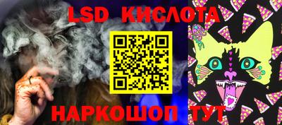 крисы Кулебаки