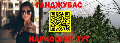 крисы Кулебаки