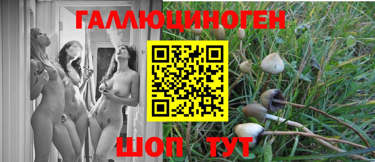 Псилоцибиновые грибы мухоморы Зеленогорск