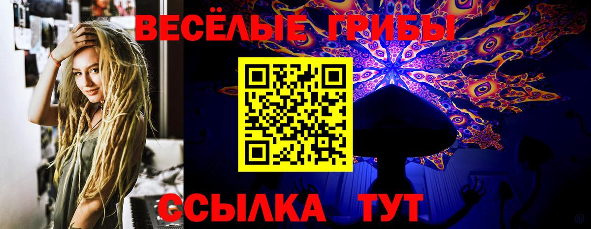 Зеленогорск  Псилоцибиновые грибы прущие грибы  Вход с VPN 